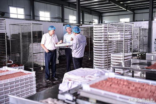 后廚里的黑暗 記者臥底鴨腸鵝腸工廠，揭開食品安全觸目驚心的真相